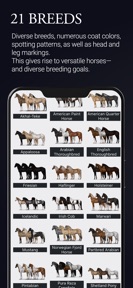 NOBLE HORSE CHAMPION screenshot