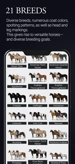 NOBLE HORSE CHAMPION screenshot 2