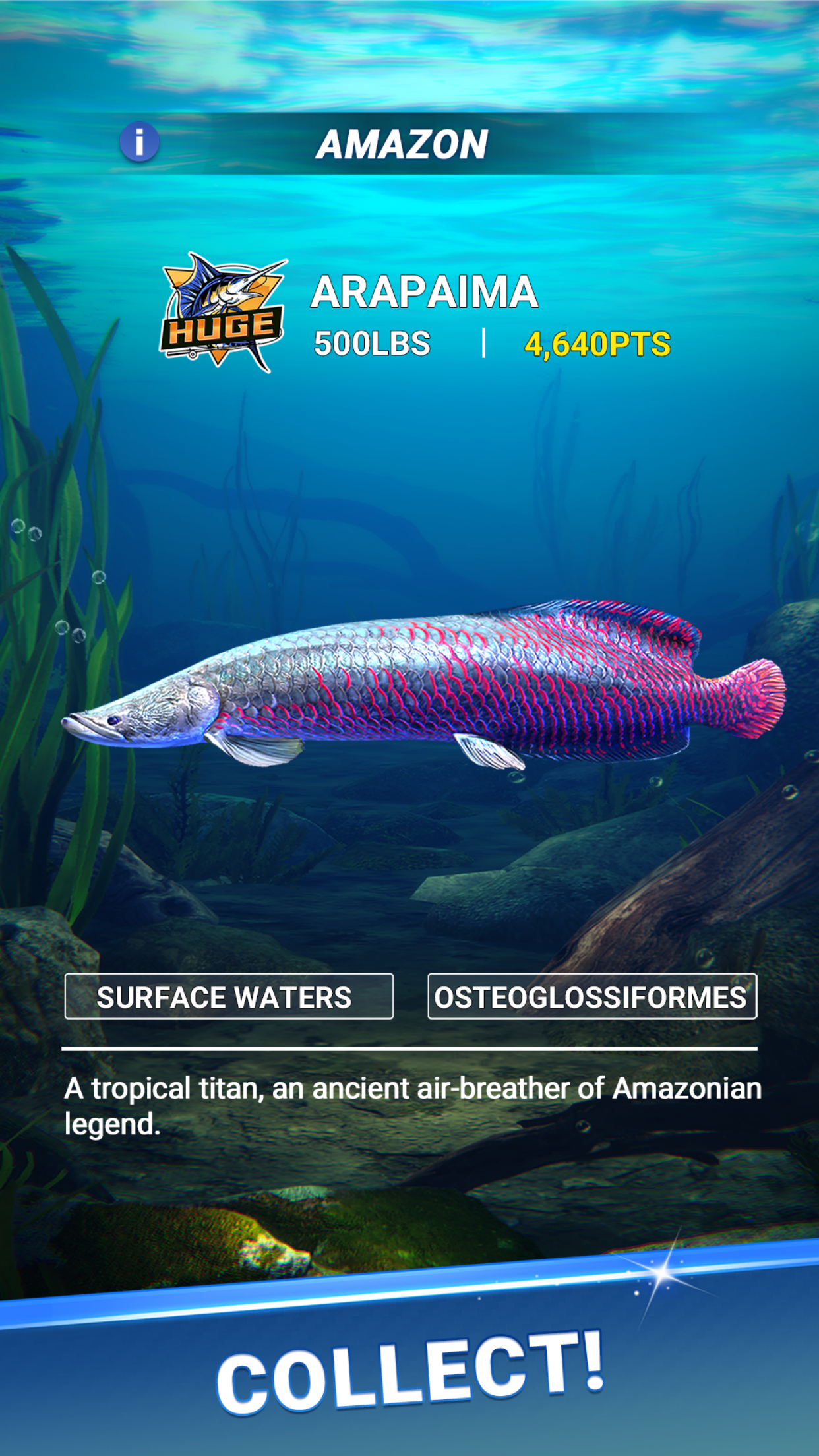 Fishing Travel screenshot 6