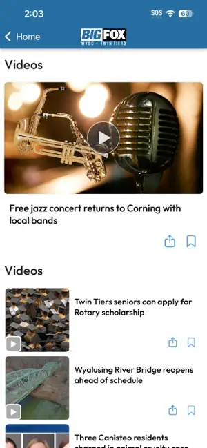 Big Fox News screenshot 3