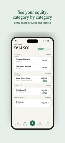 NetWorthEasy screenshot