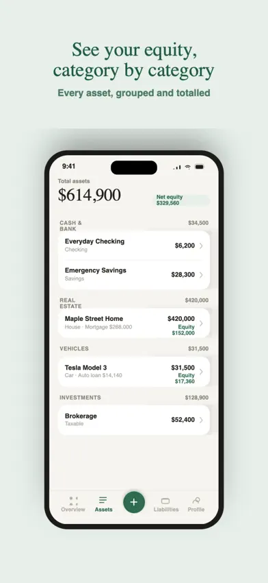 NetWorthEasy screenshot 4