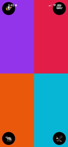 Tayzer: Trivia & Game Buzzer iPhone screenshot