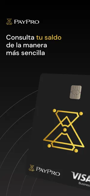 PayPro screenshot 1