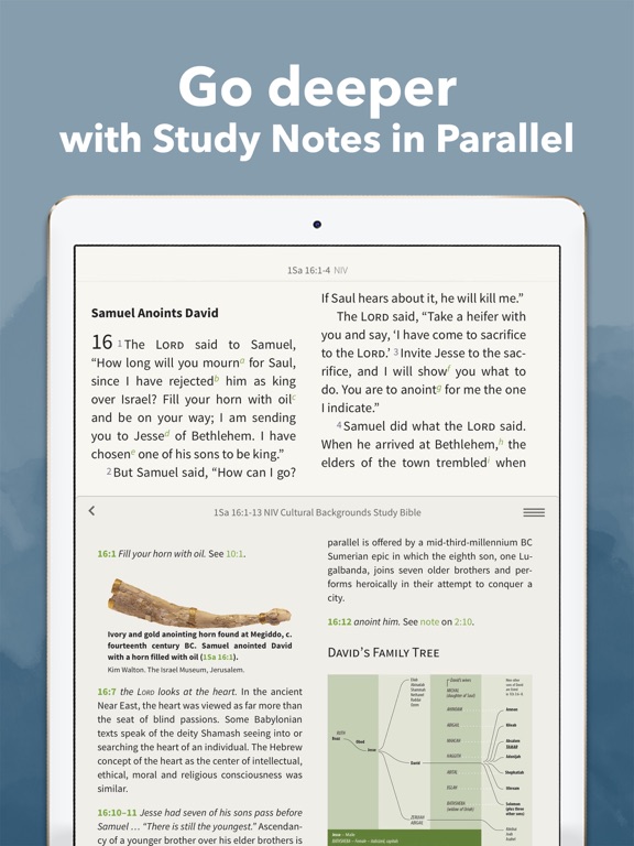 Screenshot #5 pour NIV Bible App +