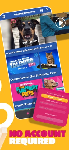 The Pet Collective Screenshot 1 of 3