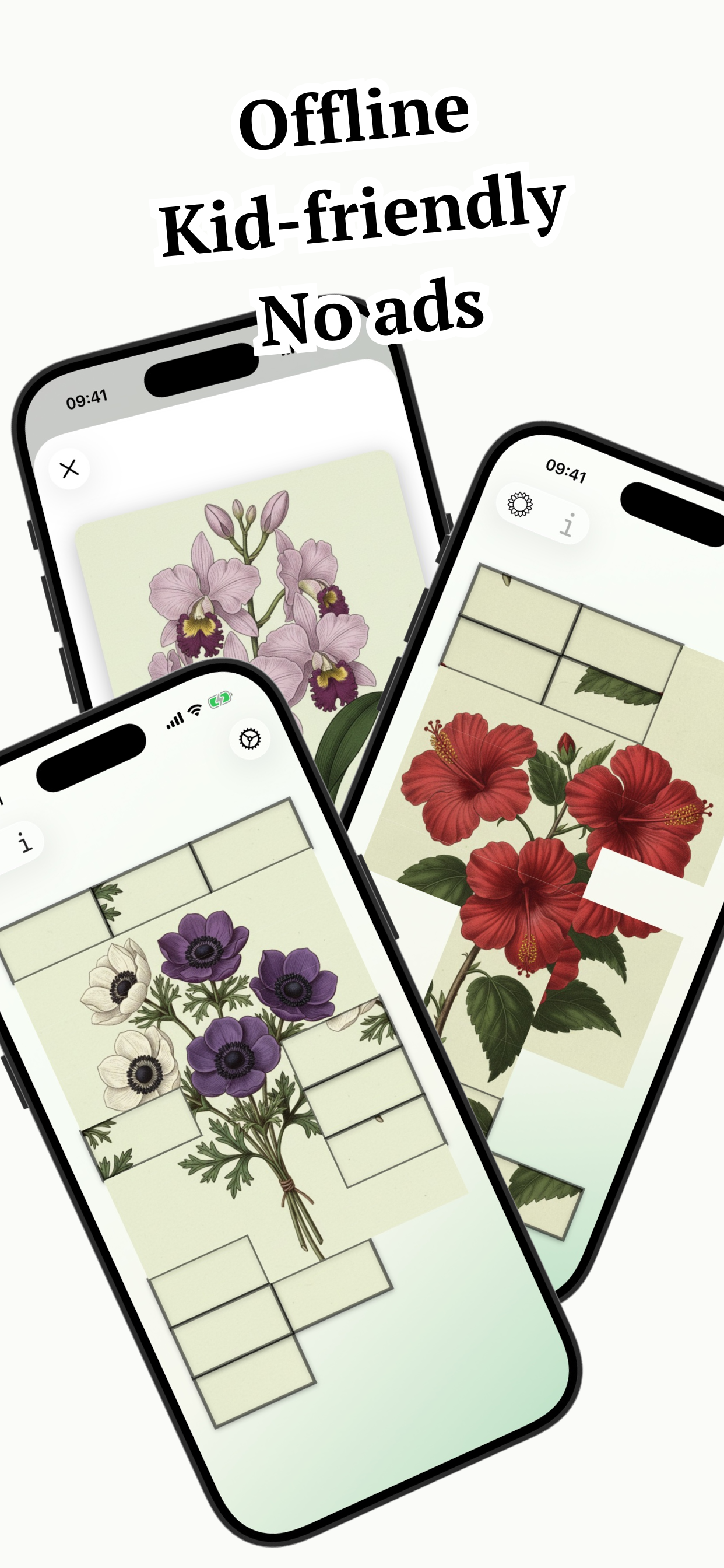 Flower Puzzles: Botany