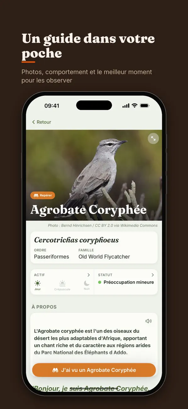 Screenshot #3 pour Addo Safari: Carte & Guide