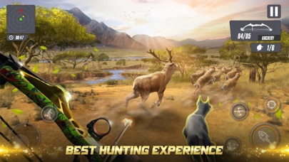 Shooting Clash: Animal World Screenshot