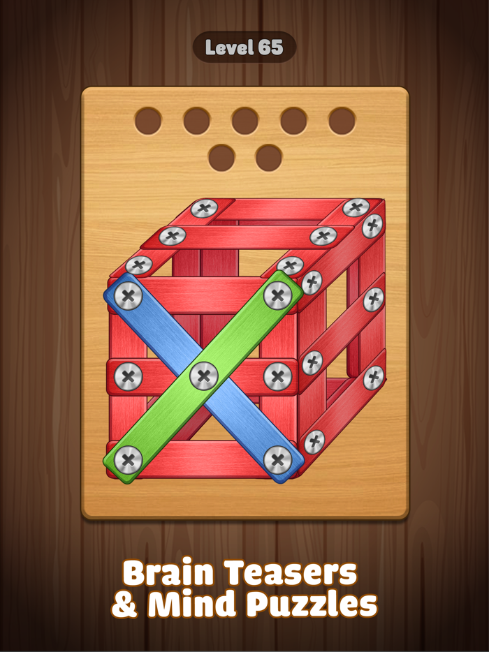 Screw Challenge Nuts  Bolts