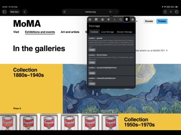 Web DevTools+ iPad screenshot 1