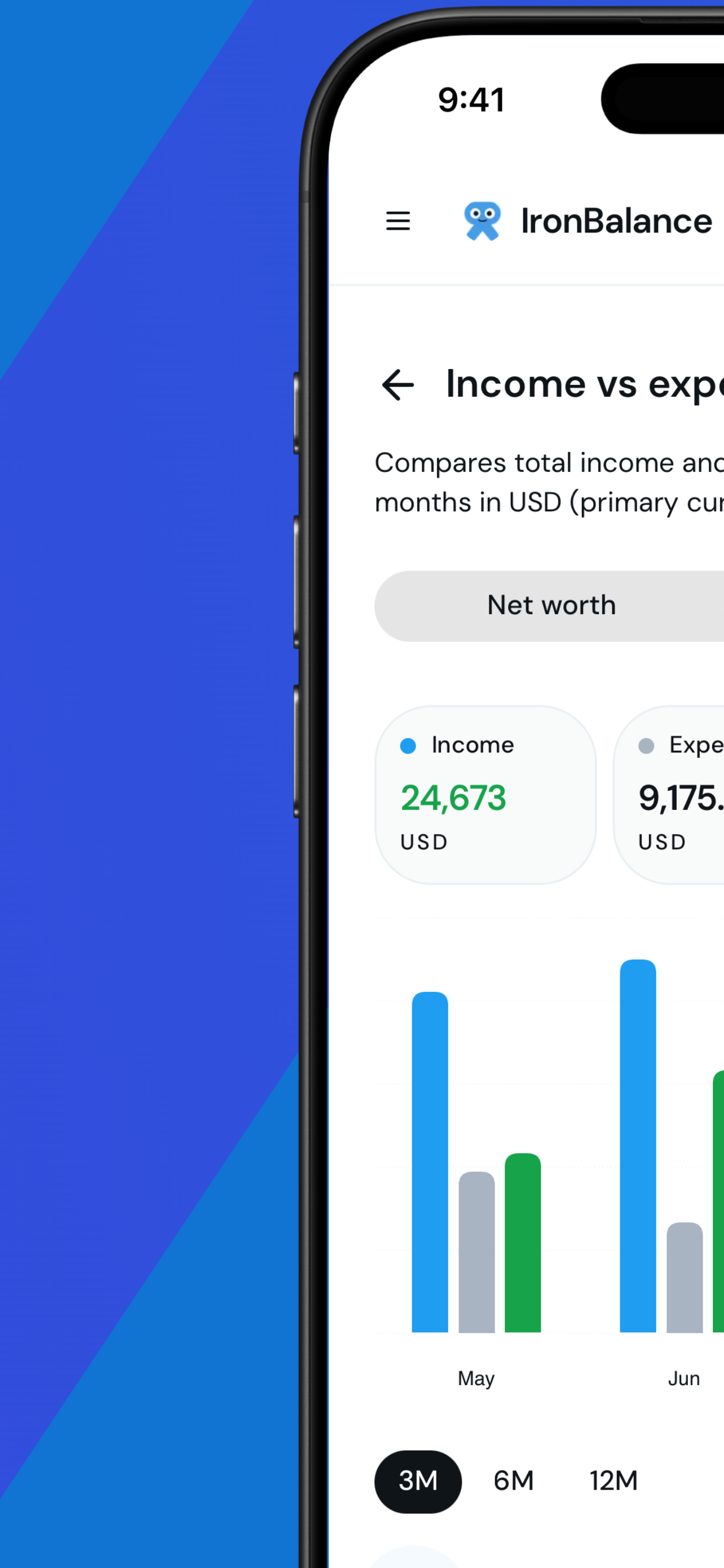 IronBalance: Net Worth Tracker screenshot 4
