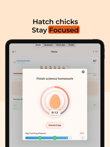 EarlyBird: Body Doubling App iPad screenshot