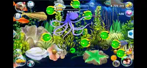 Fish Paradise - Aquarium Live screenshot #10 for iPhone