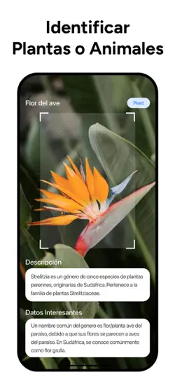 Captura de pantalla de Lens AI: Identifica Todo en iPhone 2