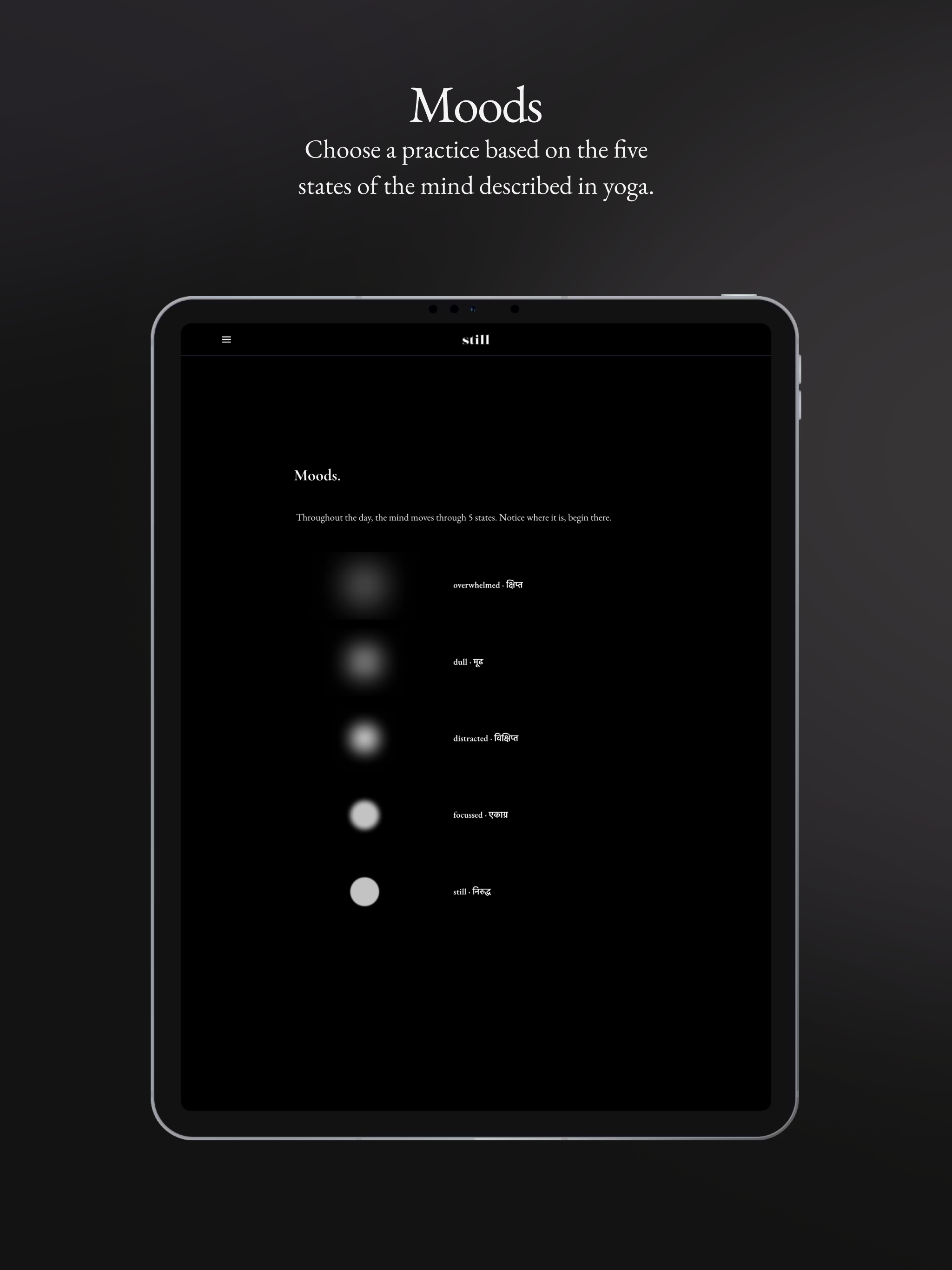 The Still Path screenshot 9