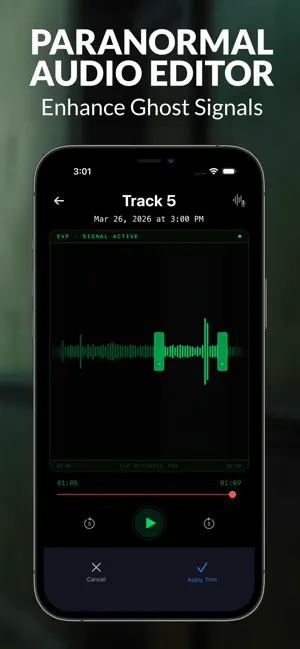 EVP Recorder: Ghost Spirit Box screenshot 4
