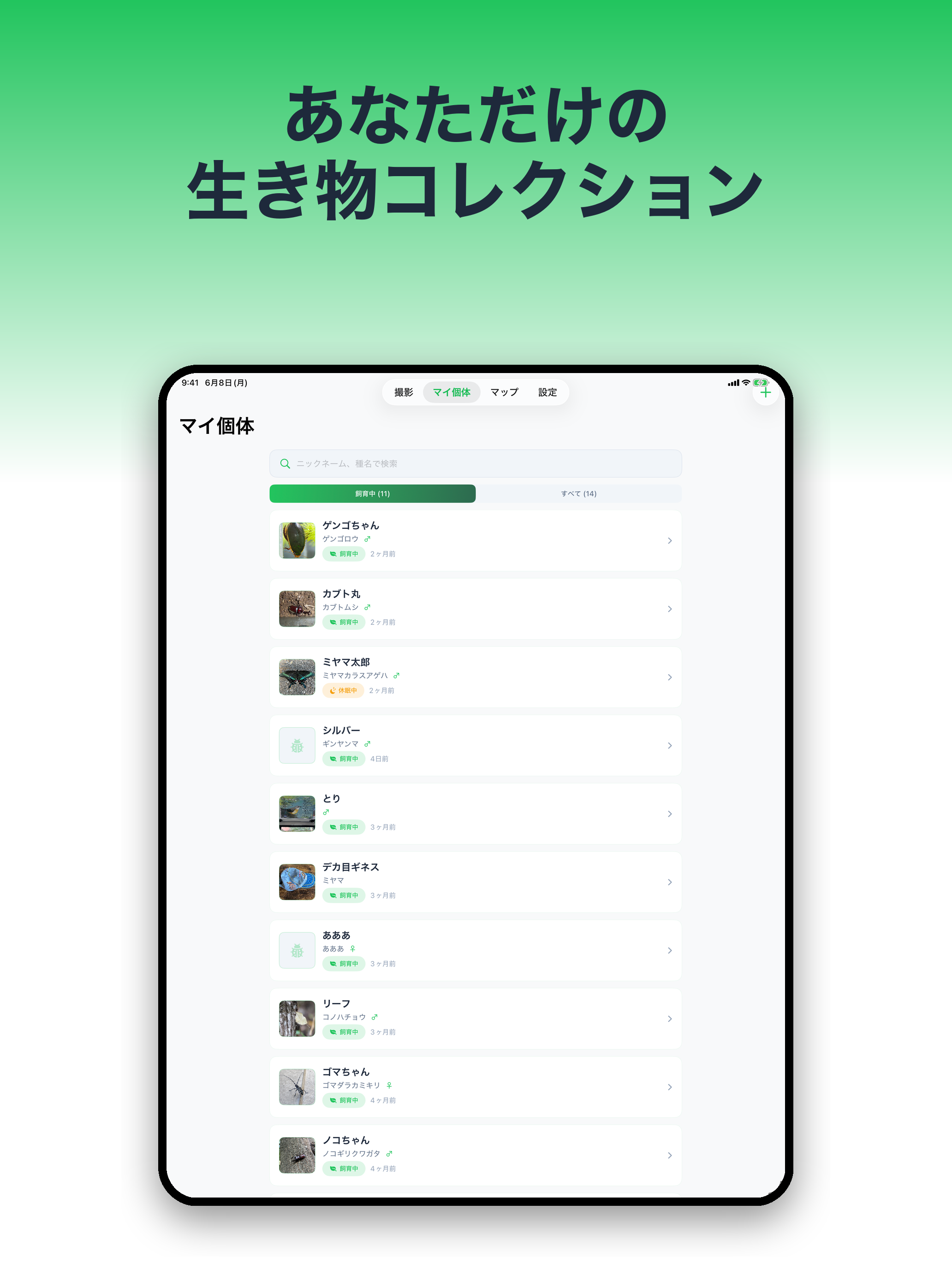 mitsuketa 昆虫・生き物の採集&飼育記録