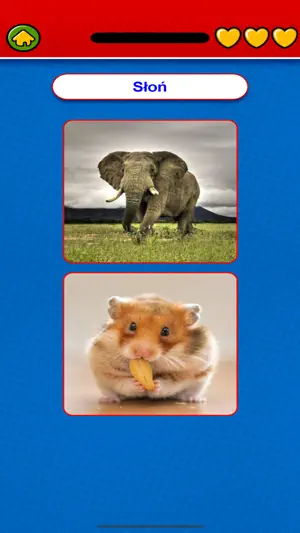 Game to learn Polish Voca screenshot 2