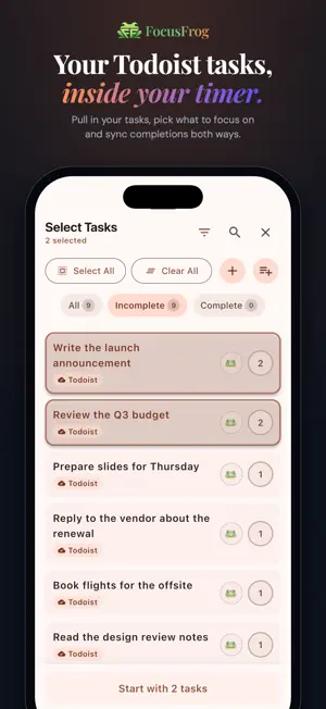 FocusFrog screenshot 2