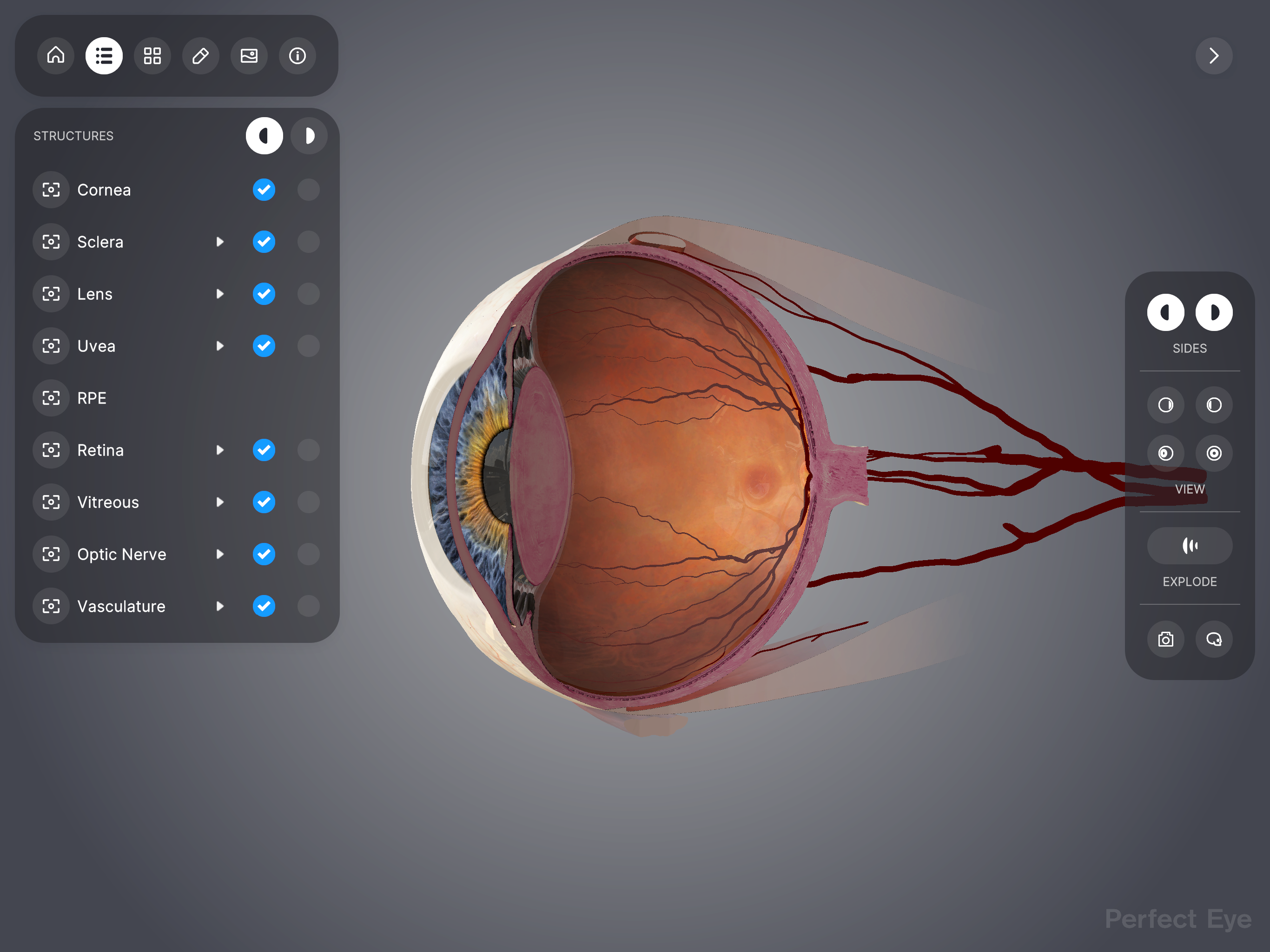 Perfect Eye screenshot 10