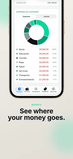 Caudara: Cash Flow screenshot 3