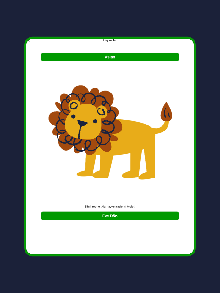 Hayvan Seslerini Öğreniyorum