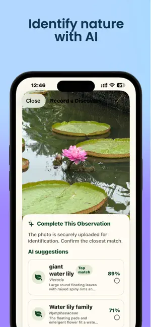 Little Wild: Nature Journal screenshot 3