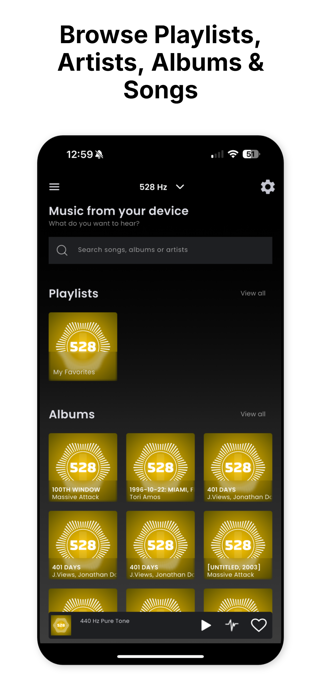 528 Player Plus Screenshot 2 of 7
