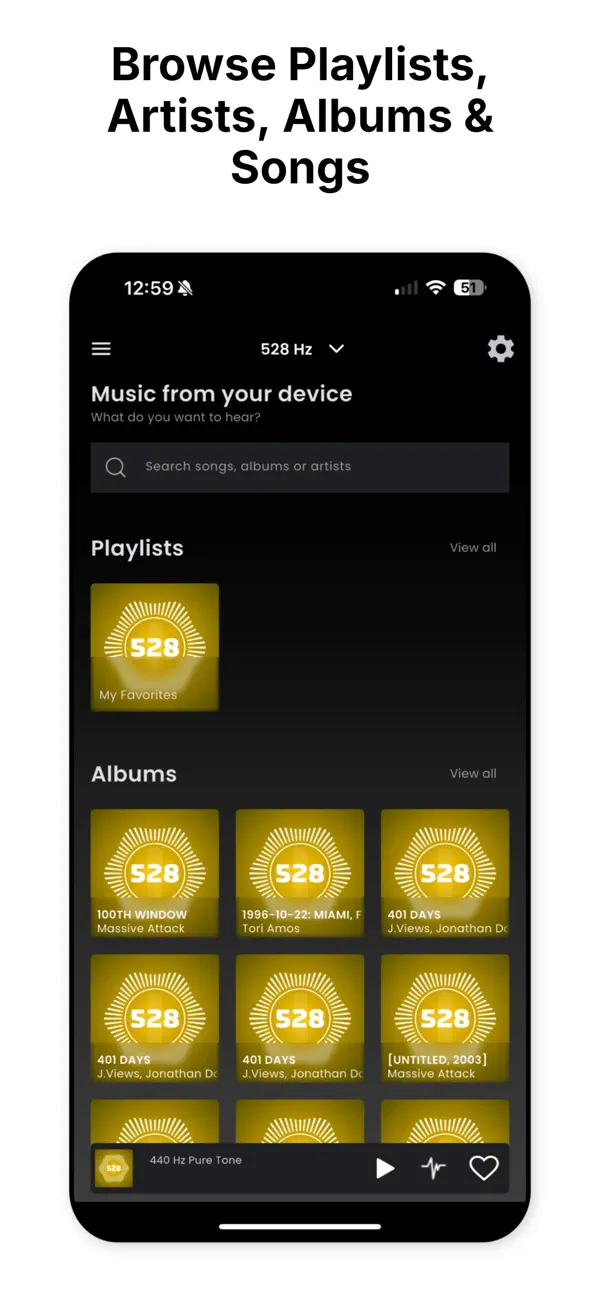 Screenshot #2 pour 528 Player Plus