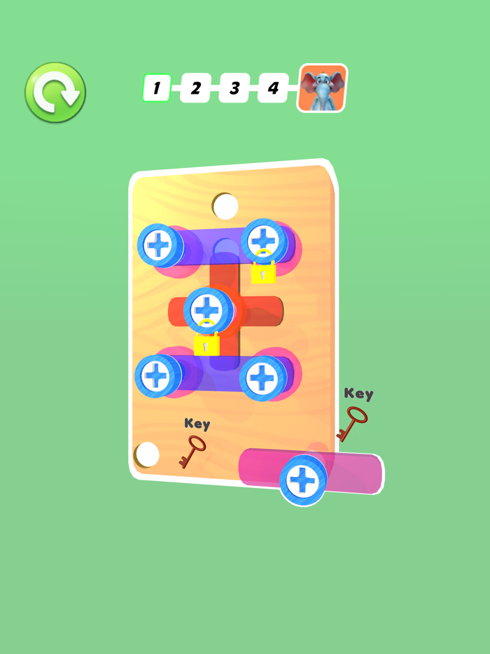 Tidy Screw 3D-Bolts Pin Puzzle