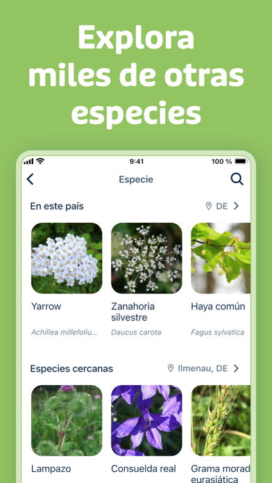Flora Incognita