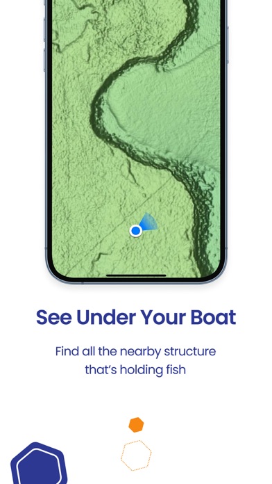 Fish Reveal Screenshot