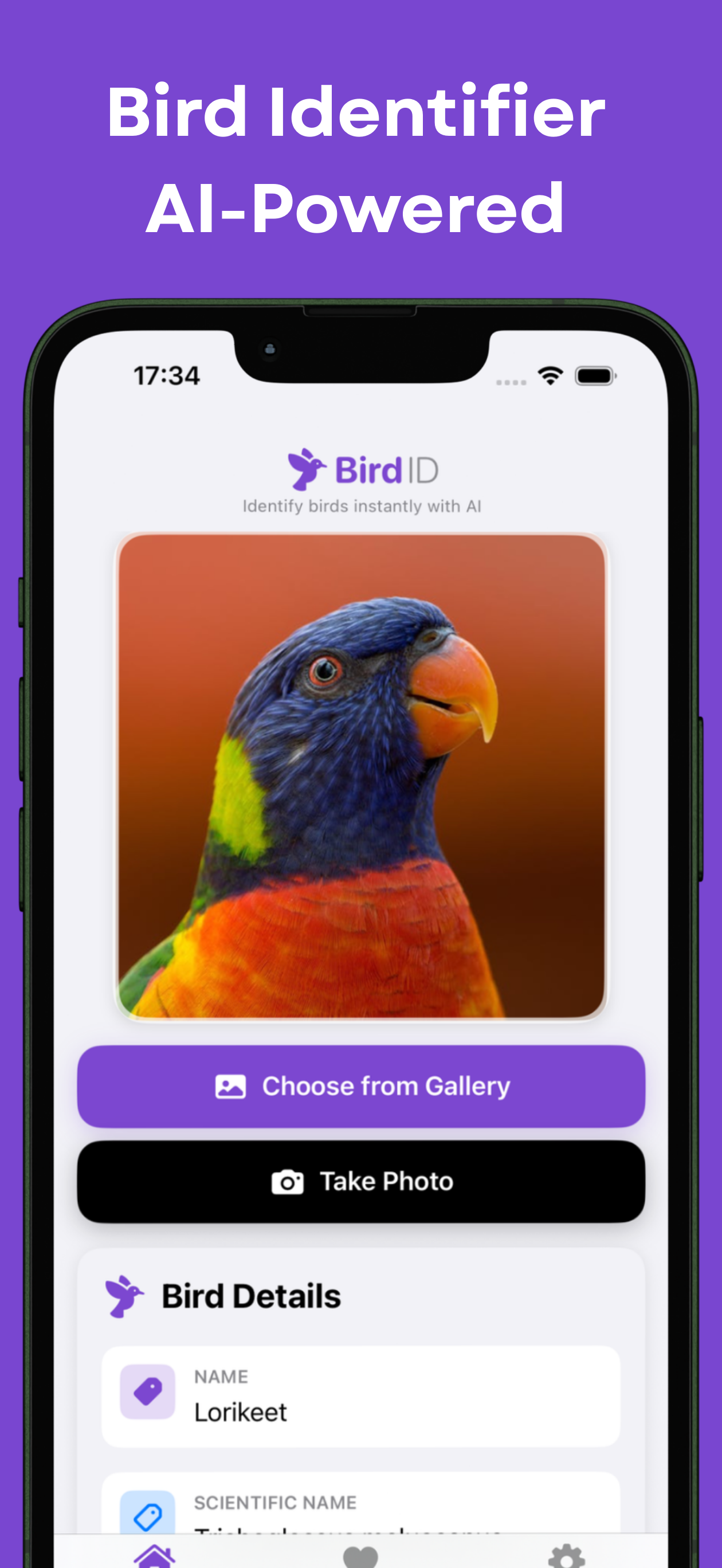 https://is1-ssl.mzstatic.com/image/thumb/PurpleSource221/v4/19/38/04/193804d9-0115-ce68-8ddd-1de0ab3947cc/1.png/1260x2736.png