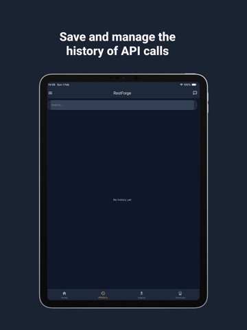 RestForge - API Client iPad screenshot