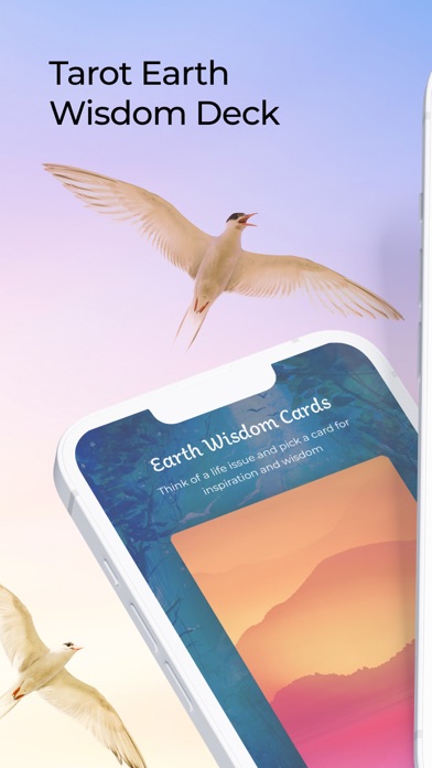Liferise AI Mystic Mindfulness Screenshot