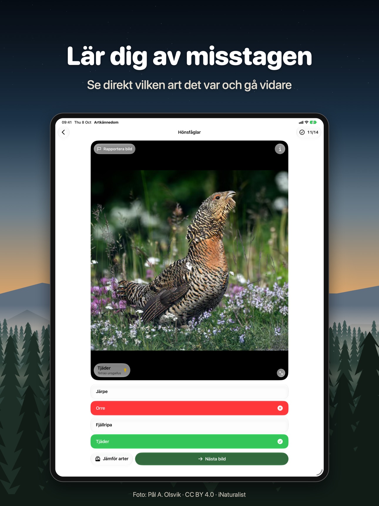 Screenshot 10 of Jakt: Artkännedom