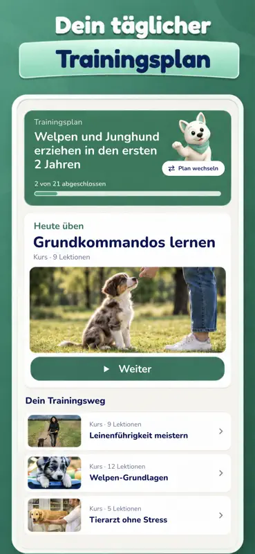 Hundeo - Hundetraining screenshot 2 of 6