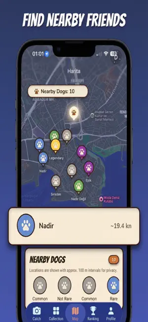 StreetPaws: Dog Collector screenshot 4