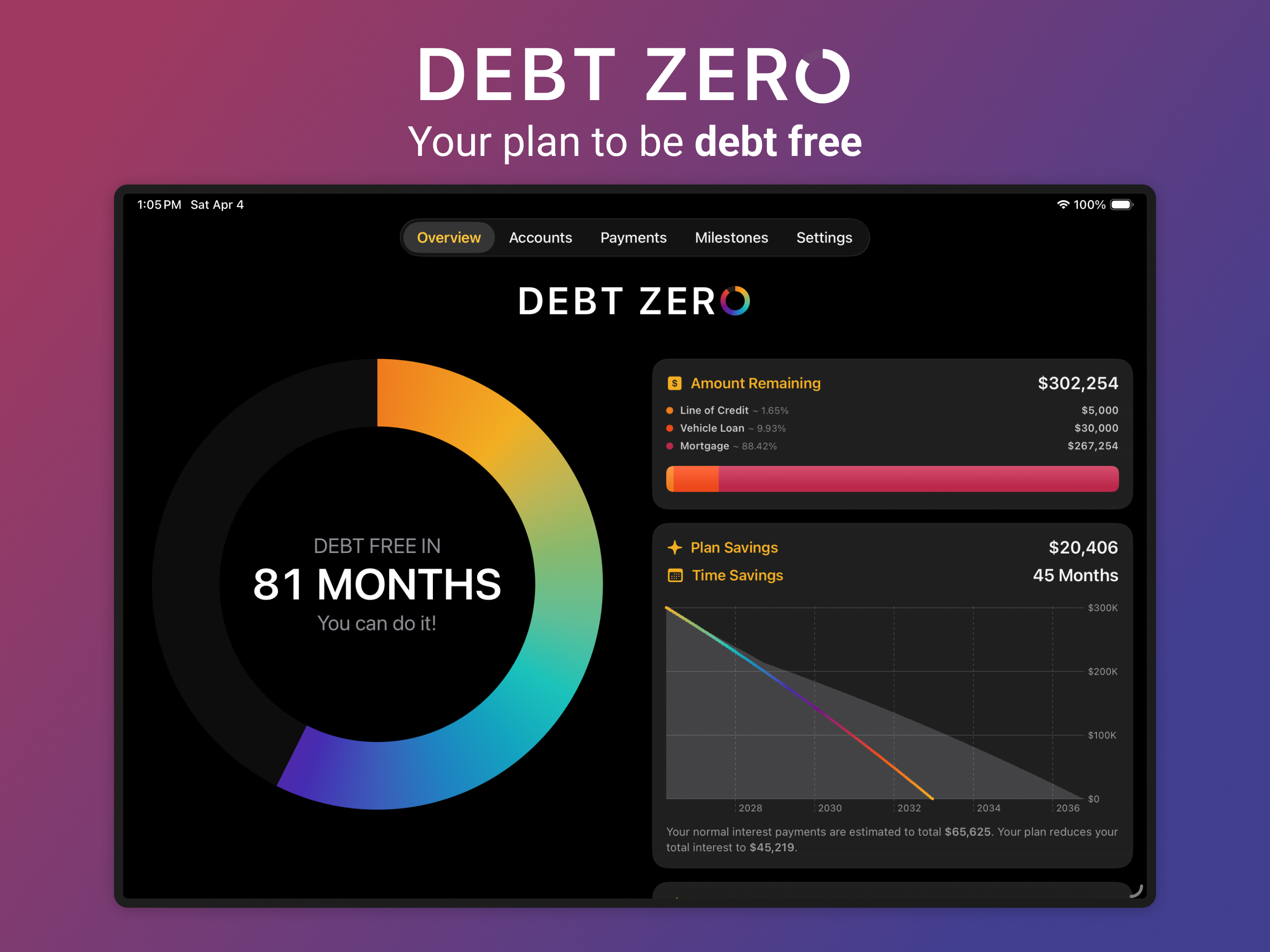 Debt Zero: Payoff Planner