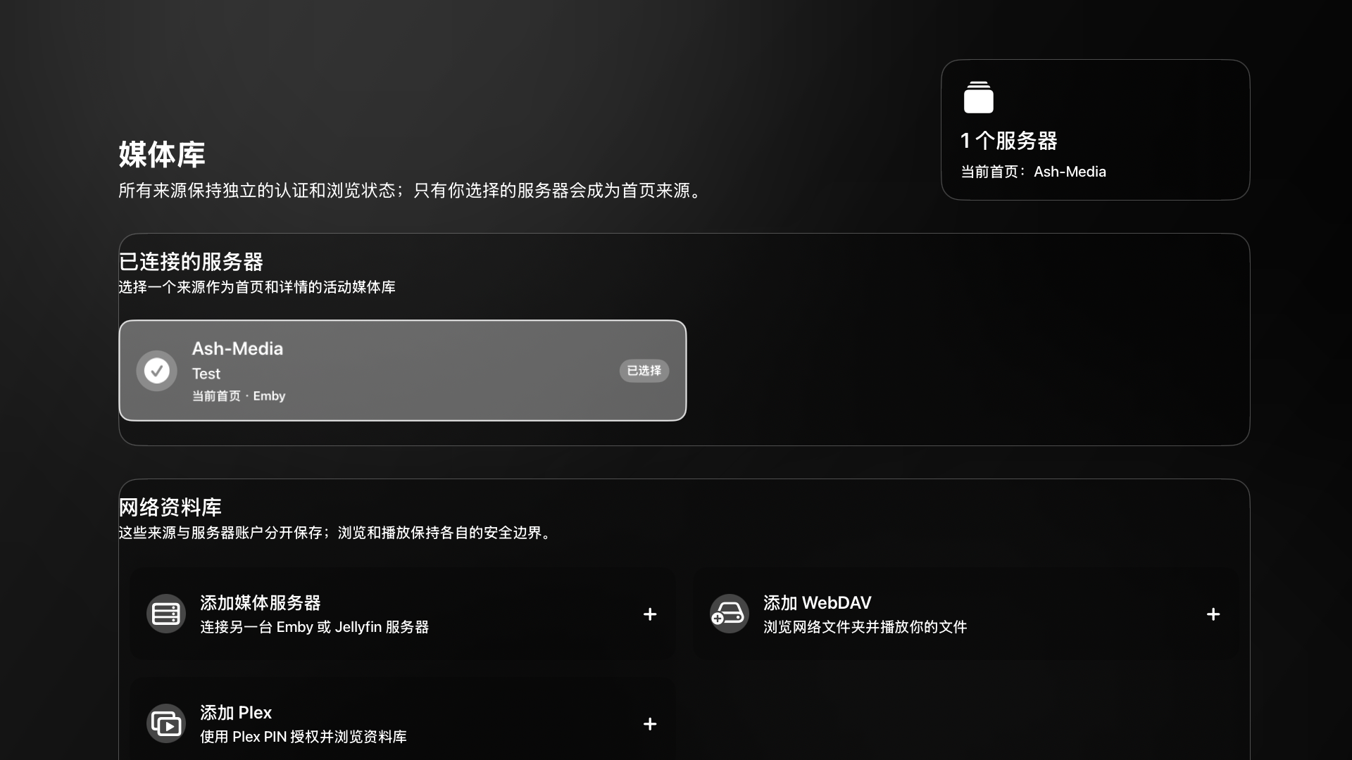 AshPlayer screenshot 14