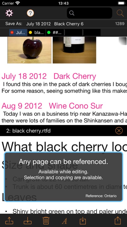 noteCafe Stylo screenshot-3