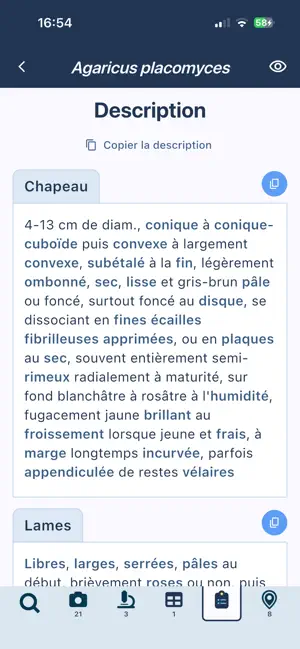 La Fonge - Mycoquébec screenshot 3