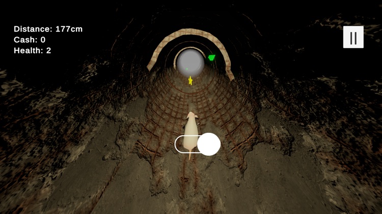 Mice of the Infinite