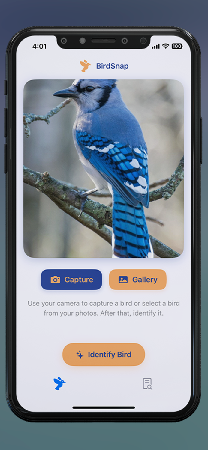 BirdSnap Bird Identifier ID