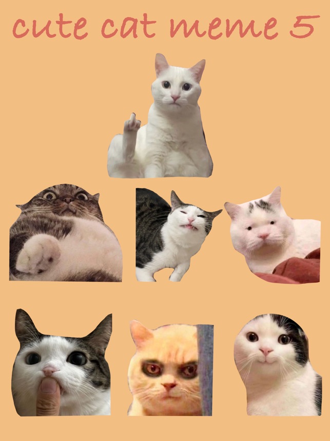 Www Alhudapk Pinoy Funny Memes Videos 2021 Tick Tock Very Very