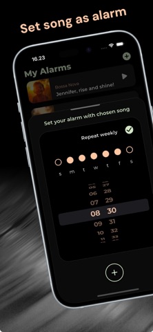 Syncopa screenshot