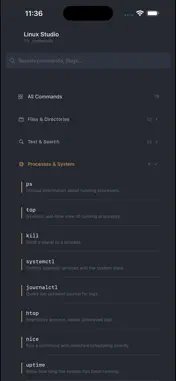 Linux Studio screenshot 2
