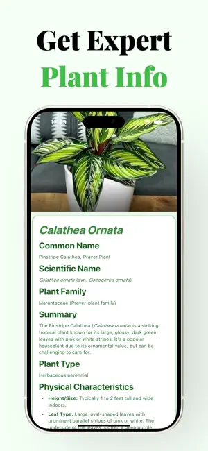 Plant Care - Plant Identifier screenshot 3
