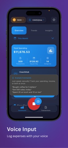 Penny Echo AI Finance Tracker iPhone screenshot